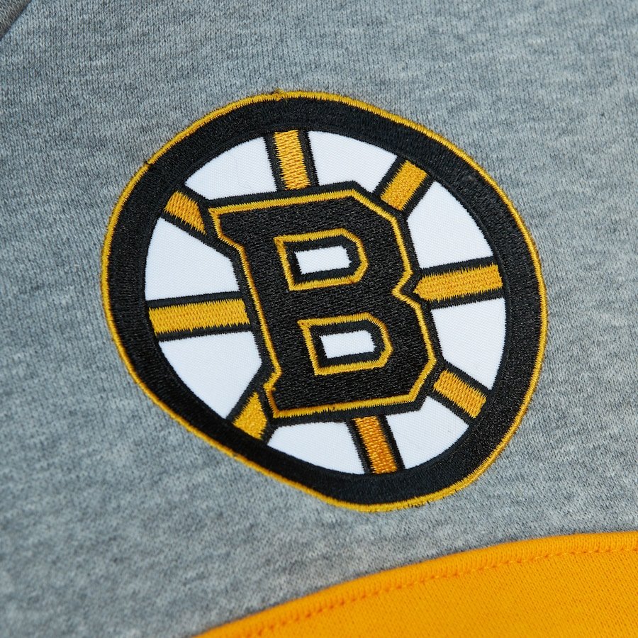 gray-boston-bruins-head-coach-pullover-hoodie_ss5_p-200328513pv-4u-jzxww6xko8nyolptqxpgv-nbqoz8cwfjsqjocmmrqb.jpg