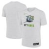 Tampa Bay Rays Nike Authentic Collection Velocity Performance Practice T-Shirt - White
