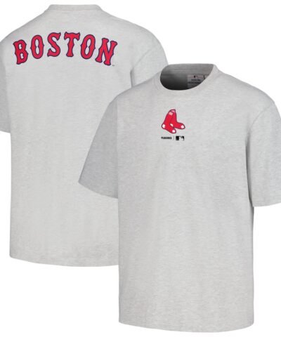 Boston Red Sox PLEASURES Mascot T-Shirt - Gray