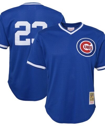 Ryne Sandberg Chicago Cubs Mitchell & Ness Youth Cooperstown Collection Mesh Batting Practice Jersey - Royal